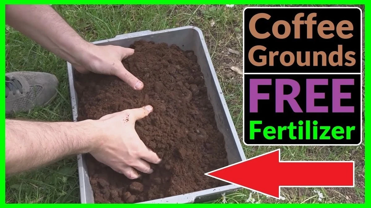 Kávová sedlina na zahradě: jak využít odpad pro bujnější růst květin. - image 1