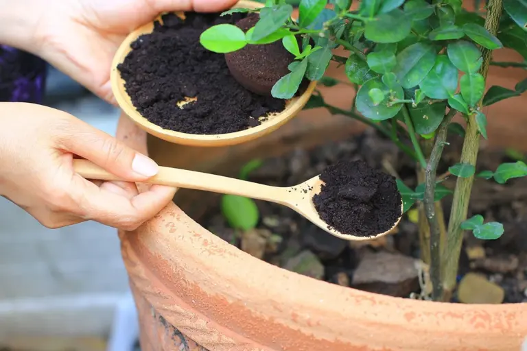 Kávová sedlina v lednici: Neuvěřitelné, jak rychle pohlcuje pachy