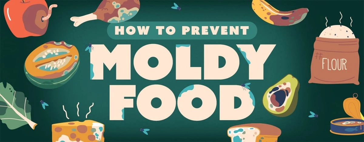 Kolíčky na prádlo v lednici zabrání plesnivění potravin - geniální způsob cirkulace vzduchu. - image 2