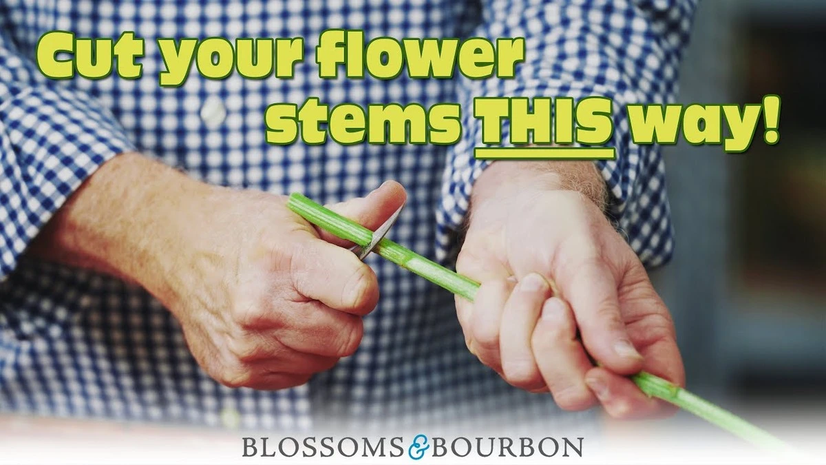 Měděná mince ve váze s květinami? Prodlouží jejich životnost o celý týden. - image 1