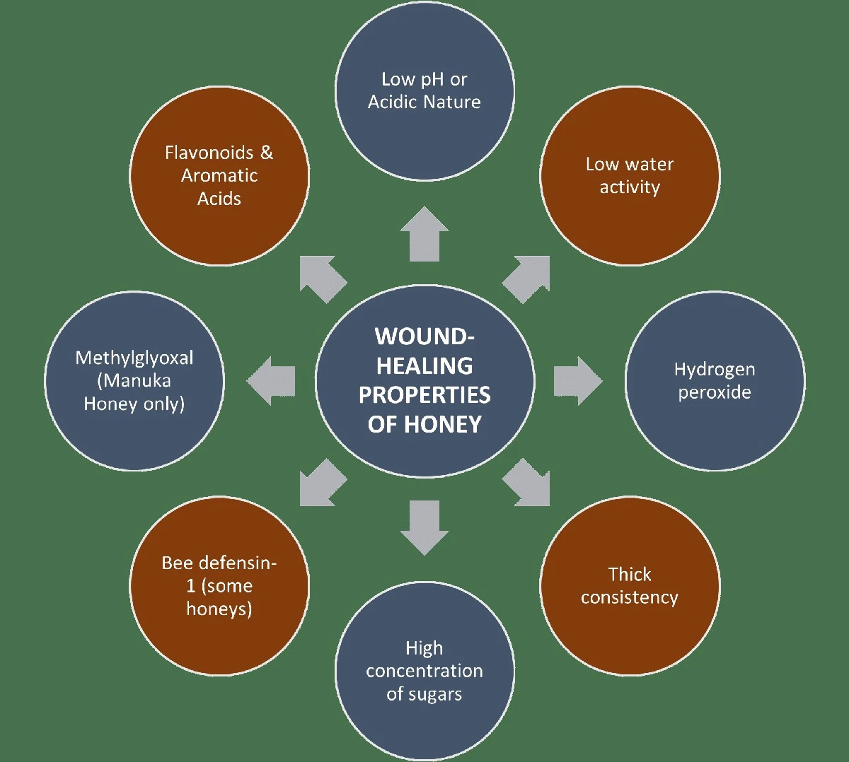 Med na spáleniny? Proč funguje lépe než drahé masti. - image 2
