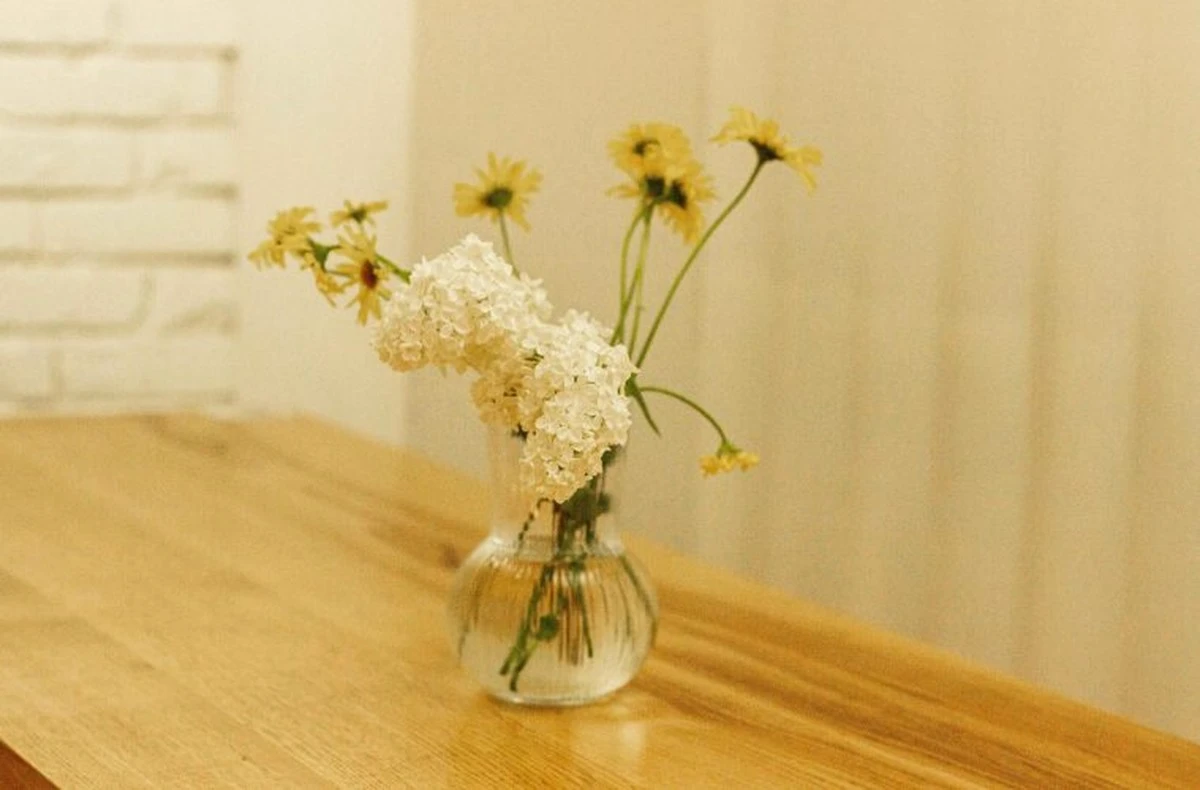 Mince ve váze s květinami: Proč rostliny vydrží dvakrát déle. - image 2