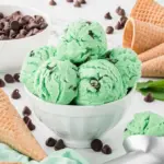 Mince ve zmrzlině? Proč tento trik zabraňuje krystalizaci ledu.