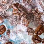 Mrazit kávová zrna před mletím? Tajemství baristů pro lepší chuť.