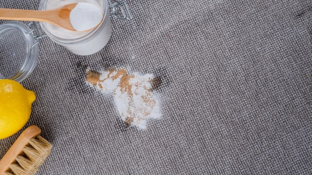 Obyčejný toustový chléb odstraní skvrny z koberce: Jak funguje tento překvapivý trik