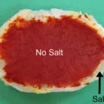 Položte bramboru do slaného jídla: kuchařský trik, který zachrání večeři.