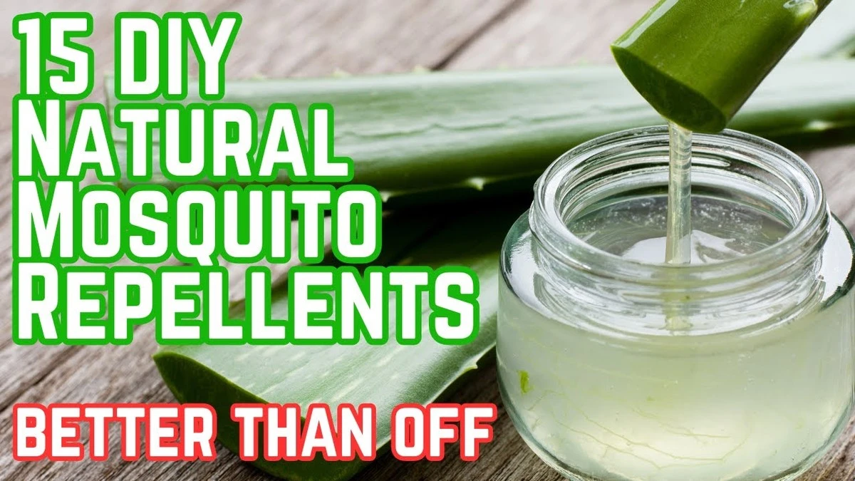 Položte kávovou sedlinu na parapet a zapomeňte na komáry navždy - image 2