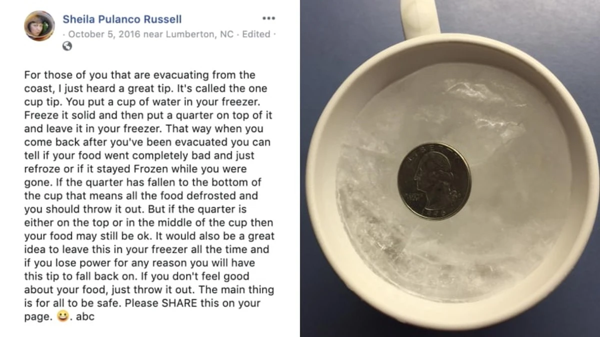 Položte minci do ledové kostky: Neočekávaný trik při výpadku proudu - image 1