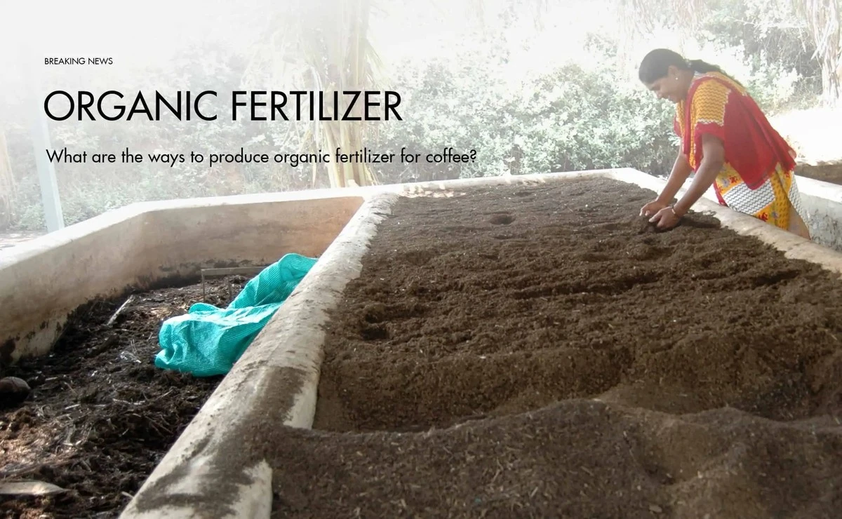 Použijte kávové lógry v zahradě: rostliny vám poděkují. - image 2