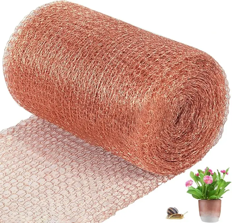 Proč dát měděný drát kolem rostlin? Zahradnický trik pro ochranu před slimáky