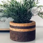 Proč dávat korek do květináčů: Rostliny vám poděkují tímto způsobem