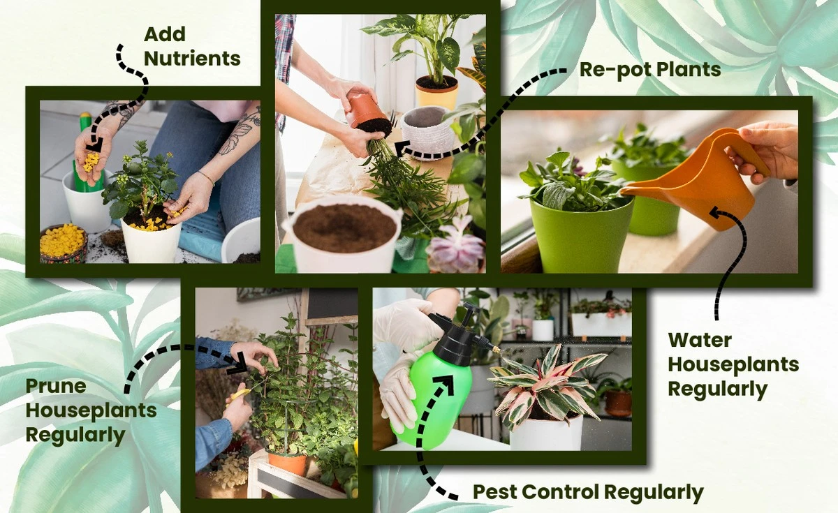 Proč dávat korek do květináčů: Rostliny vám poděkují tímto způsobem - image 2