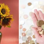 Proč dávat mince do vázy s květinami? Starý trik prodlužuje jejich život