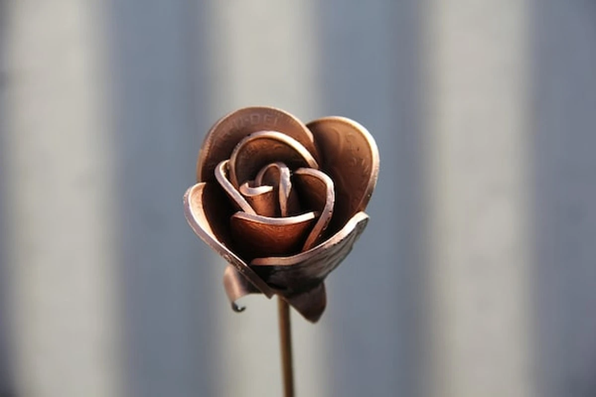 Proč dávat mince do vázy s květinami? Starý trik prodlužující jejich život. - image 2