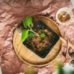 Skořice kolem rostlin: Přírodní způsob, jak se zbavit mravenců.