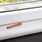 Skořice na parapetu: Starý způsob, jak se zbavit mravenců navždy