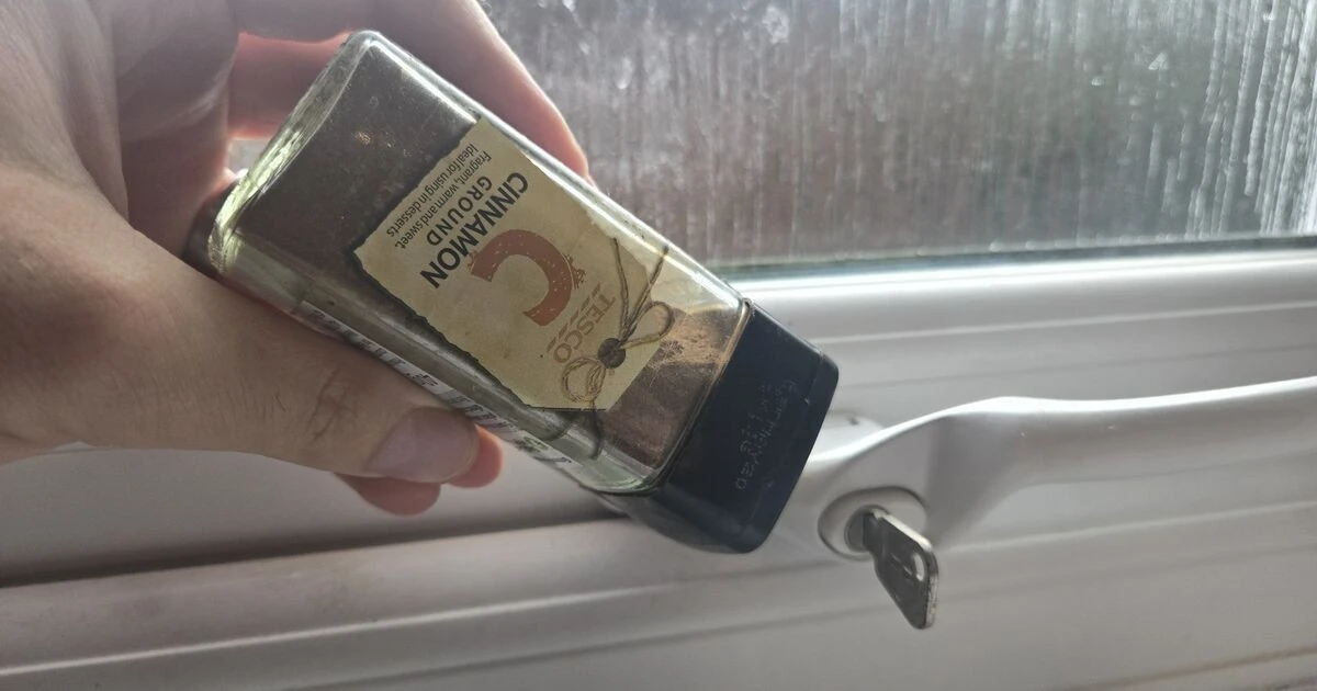 Skořice na parapetu: Přírodní způsob, jak se zbavit mravenců navždy. - image 1