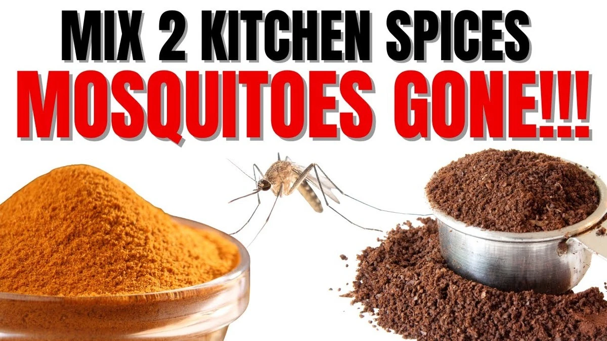 Skořice odpuzuje mravence: přírodní řešení, které vědci potvrzují. - image 2