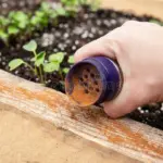 Skořice v zahradě: Přirozený odpuzovač mravenců, který funguje během minut