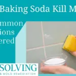 Soda bicarbona na plísni v koupelně: Proč funguje lépe než chemie