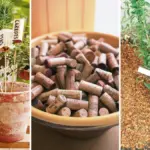 Vinné korky odpuzují hmyz: zapomenuté zahradnické tajemství.