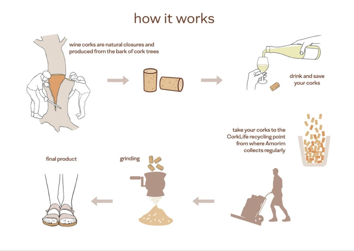 Vinné korky odpuzují hmyz: zapomenuté zahradnické tajemství. - image 2