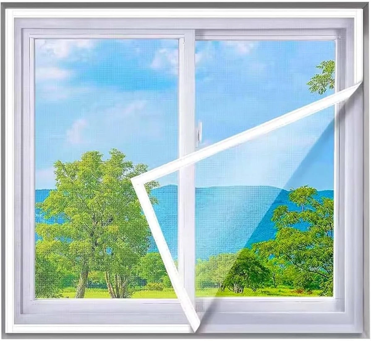 Vlasec na okno: Jednoduchý trik proti mouchám, který funguje celé léto - image 1