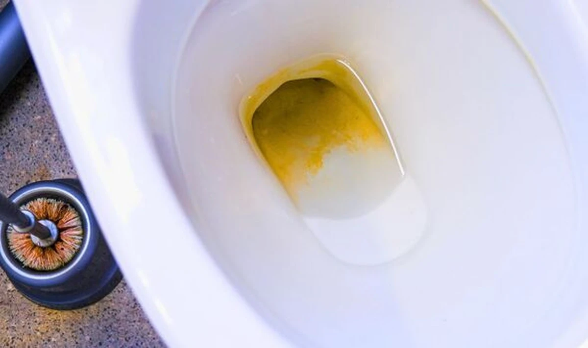 Vložte citronovou kůru do myčky: zázračně odstraní vodní kámen - image 1