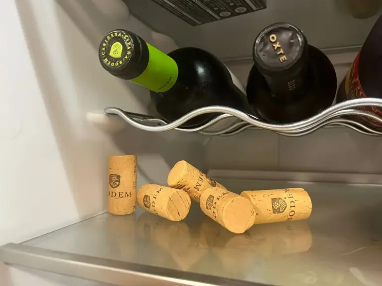 Vložte korkový špunt do lednice: Překvapivý trik proti plísni a zápachu