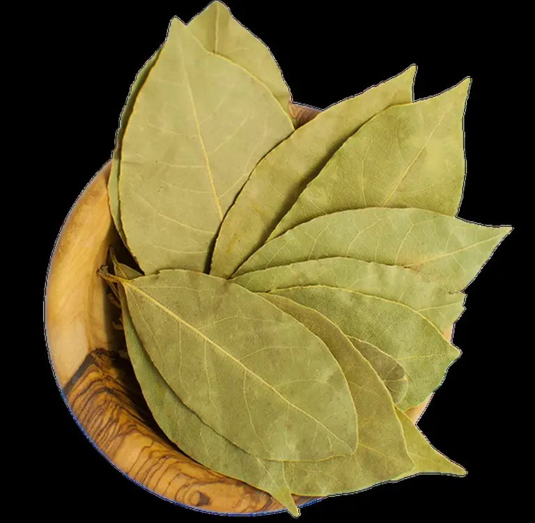 Bobkový list v mouce: stoletý trik proti moučným molům.