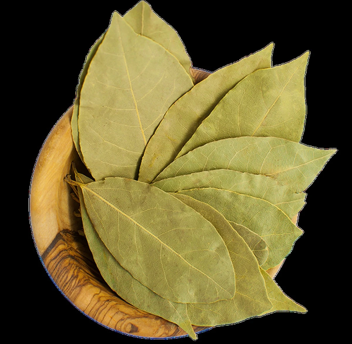 Bobkový list v mouce: stoletý trik proti moučným molům.