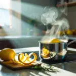 Citronová kůra v mikrovlnce: 3 minuty páry odstraní i zaschlou špínu.