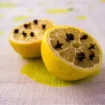 Dejte hřebíček do citronu: Přírodní odpuzovač much bez chemie