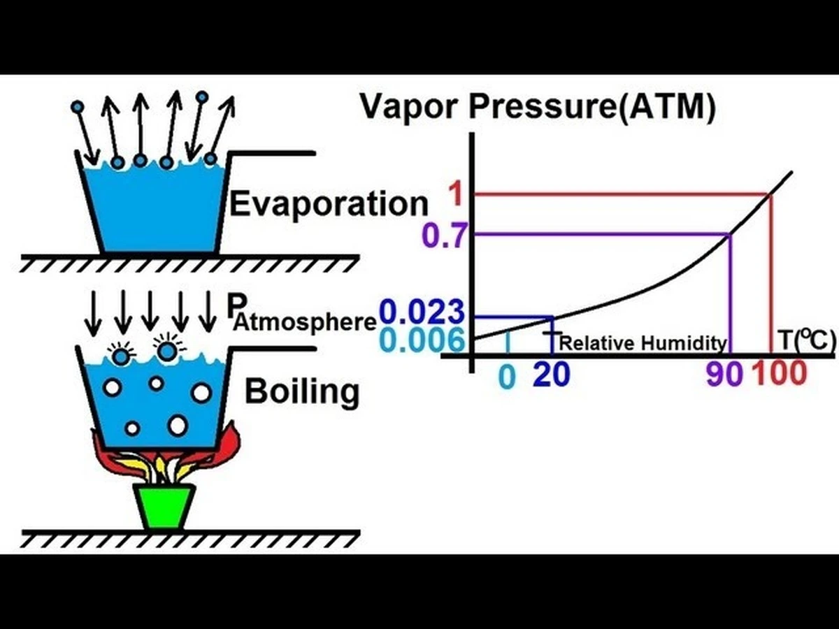 Dřevěná vařečka přes hrnec zabrání překypění vody. Fyzika, kterou neznáte - image 1