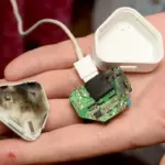 Elektrikáři varují: Nikdy nenechávejte tuto nabíječku v zásuvce přes noc.