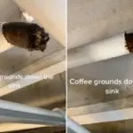 Instalatéři varují: nikdy nelijte kávu do odpadu, způsobuje problémy.