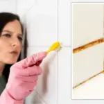 Jedlá soda a peroxid: domácí čistič spár, který skutečně funguje.