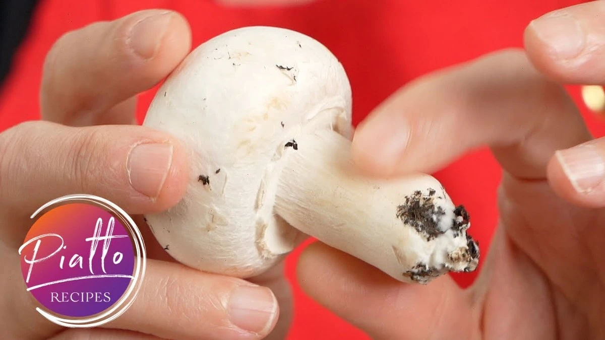 Kuchaři přísahají: Nikdy neomývejte houby před skladováním. - image 1
