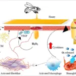 Lžička medu na rány? Vědecky ověřený trik našich předků