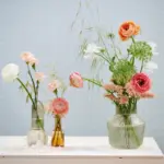 Měděná mince ve váze s tulipány: Prodlužte jejich životnost o týden.