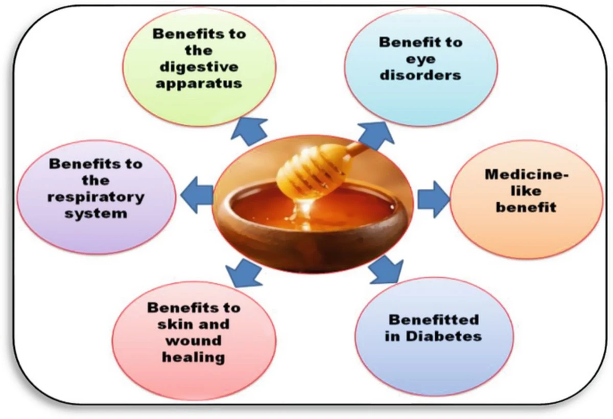 Med na drobné popáleniny: proč ho doporučují i lékaři z popáleninových center - image 2