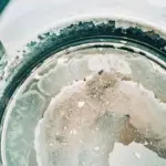 Ocet na vodní kámen: jednoduchý způsob jak vyčistit konvici za 5 minut.