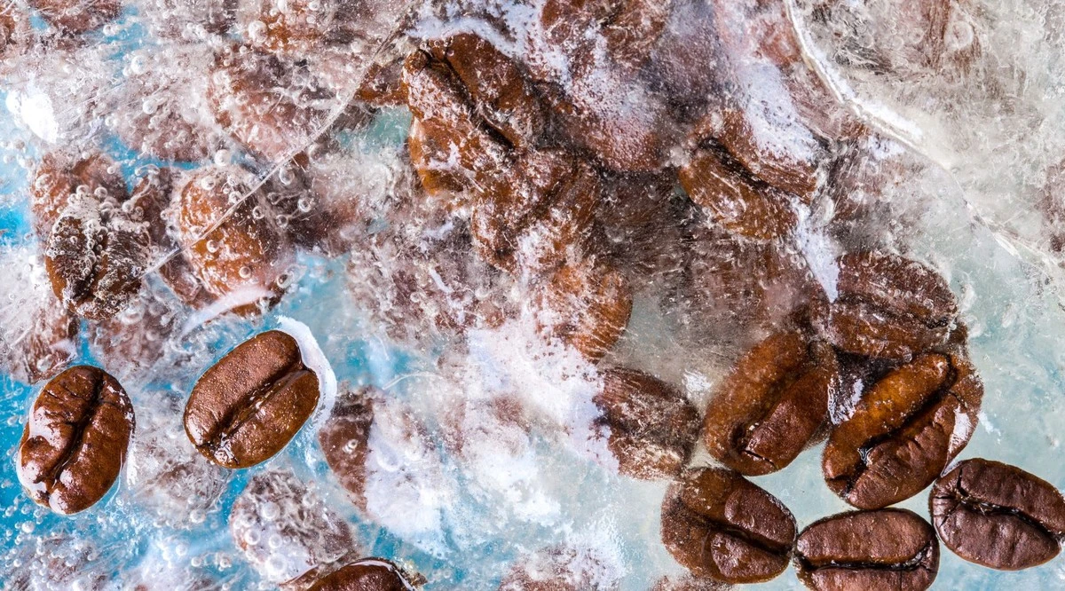 Proč profesionálové mrazí kávová zrna před mletím? Tajemství dokonalé chuti