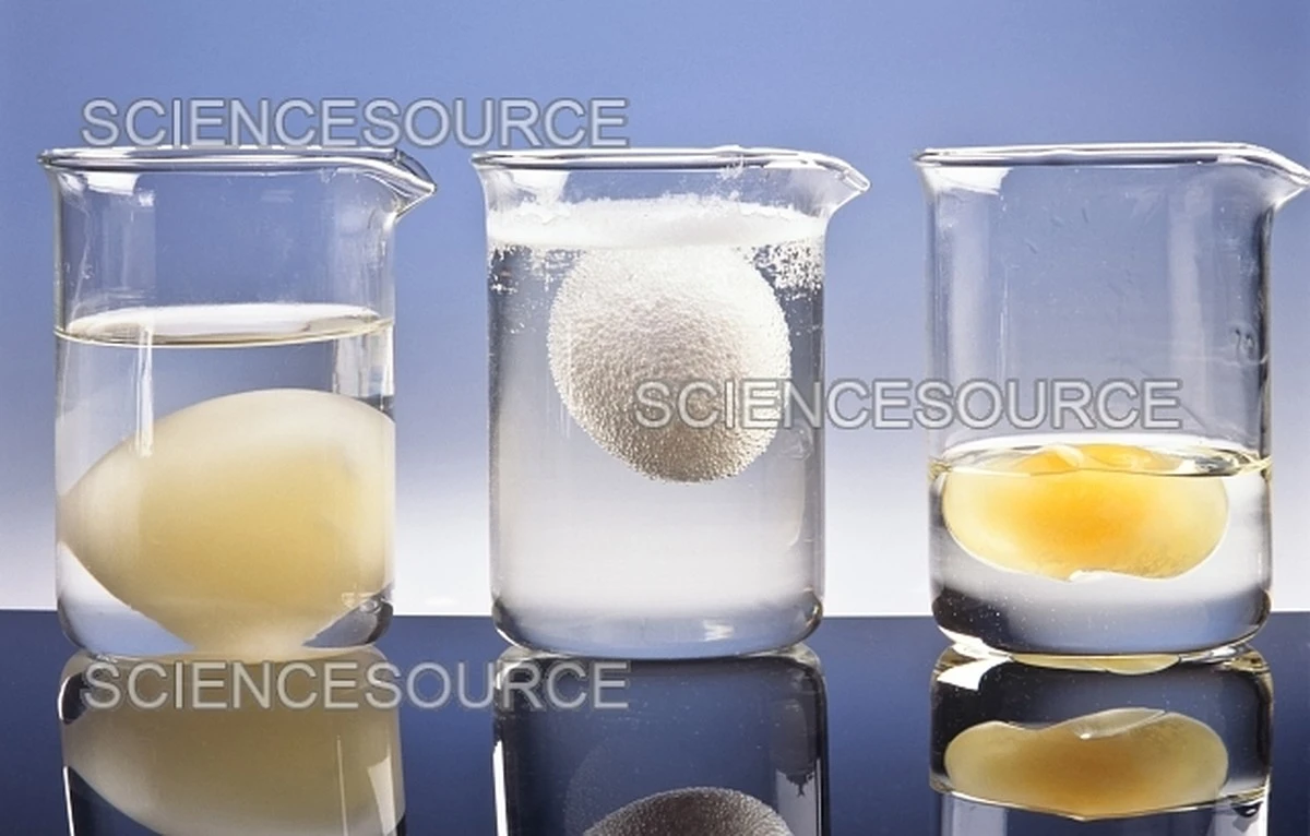 Proč šéfkuchaři vždy přidávají ocet do vody na vajíčka - tajemství dokonalé konzistence. - image 2