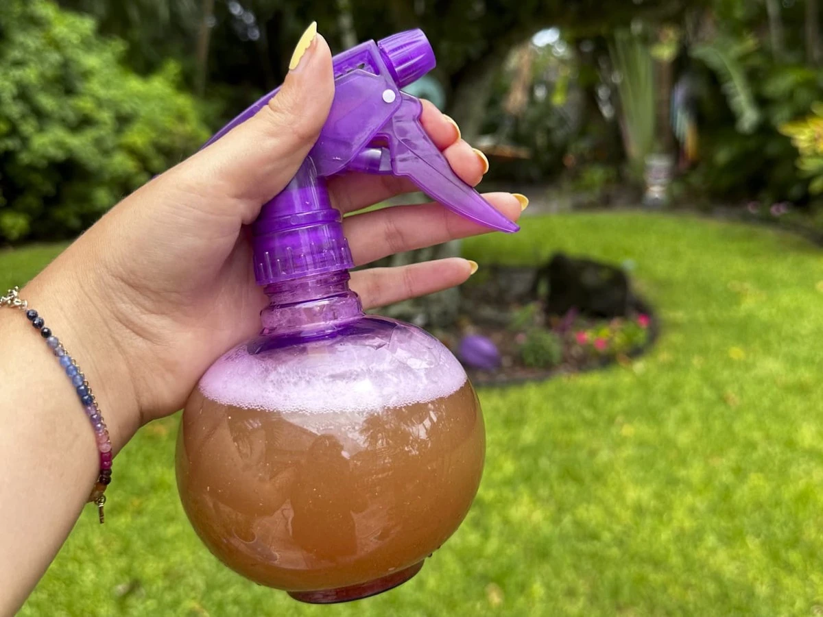 Skořice v květináči: Starý trik zahradníků proti otravným mouchám - image 1