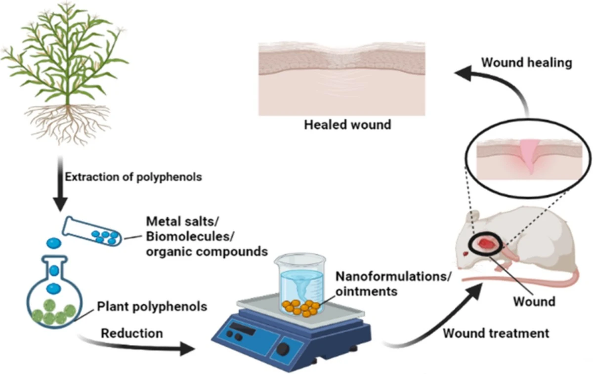 Vlhký čajový sáček na odřeniny? Tento trik vás překvapí svou účinností - image 1